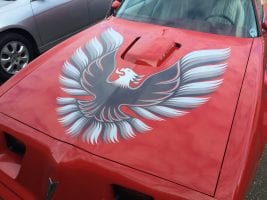 Pontiac Firebird Graphics